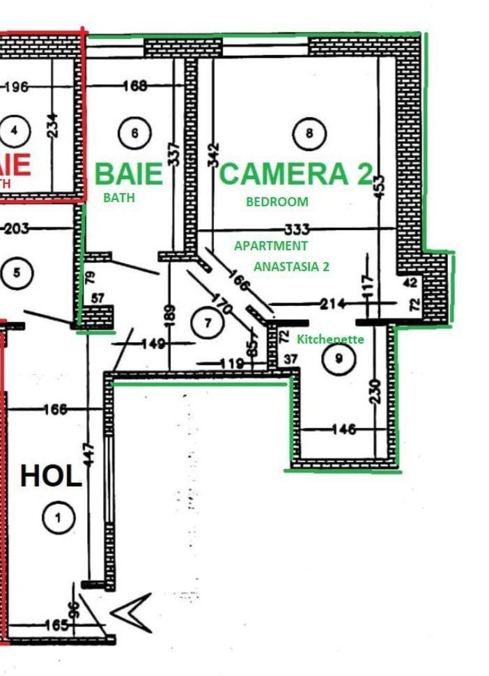 Anastasia Balcescu Apart 2 Self Check Code In From 2Pm Only Microwave Bukarest Exteriör bild